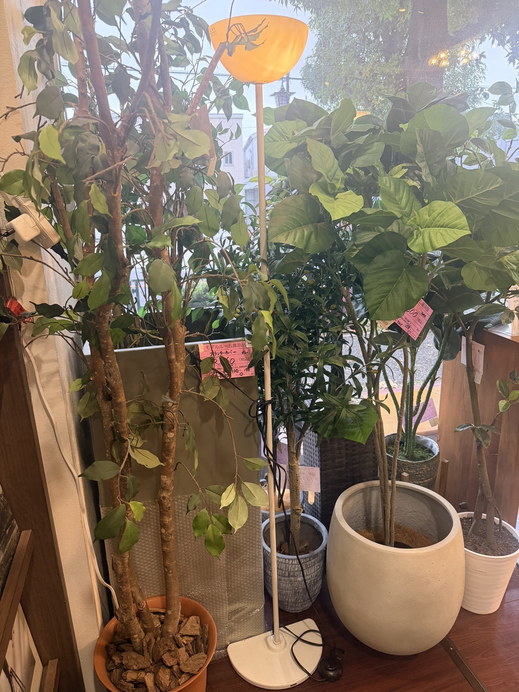 植栽が並ぶ